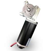 Sliding Doors gearbox DC motor 24V 60W 100